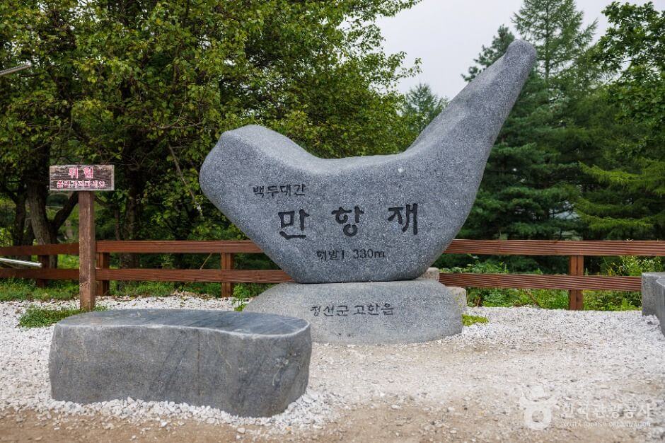 여름 고지 피서지 만항재